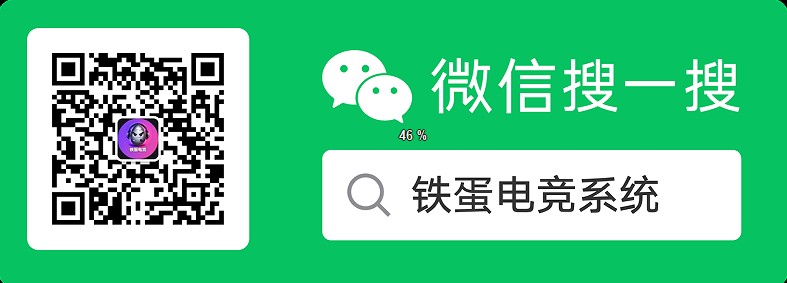 微信搜一搜：铁蛋电竞系统
