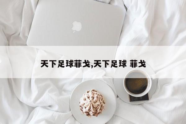 天下足球菲戈,天下足球 菲戈