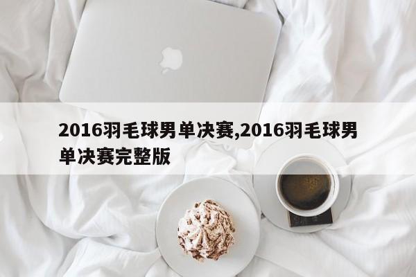 2016羽毛球男单决赛,2016羽毛球男单决赛完整版